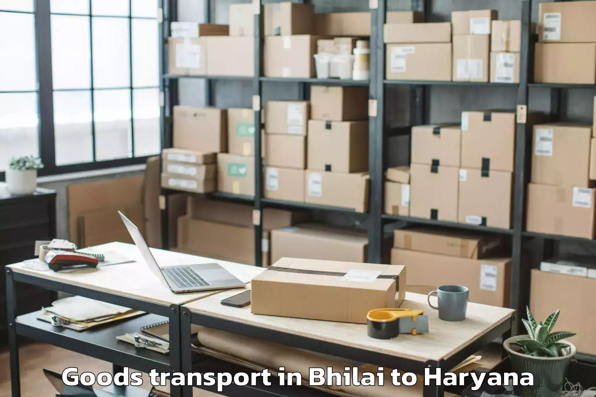 Discover Bhilai to Morkheri Goods Transport